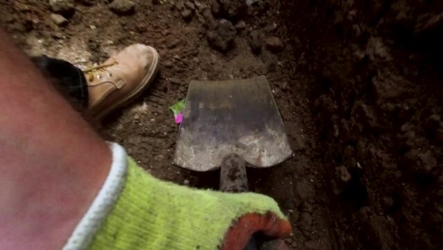 POV Spade Digging. Hand digging, clearing a trench 4K