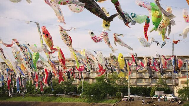 Children's Day (Kodomo no Hi) In Japan, Sunset over Koi Fish Kites