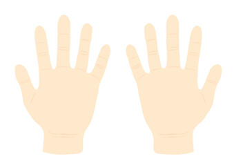 パーの状態に開いた両掌