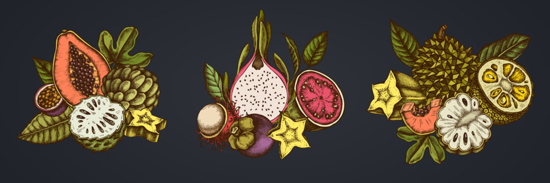 Composition design of colored papaya, guava, passion fruit, starfruit, durian, rambutan, pitaya, jackfruit, sugar-apple, soursop, mangosteen