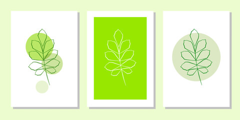 Vector botanical wall arts, with leaves. Minimalistic and natural. Leaves and line arts design.