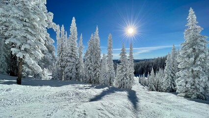 Colorado ski resort