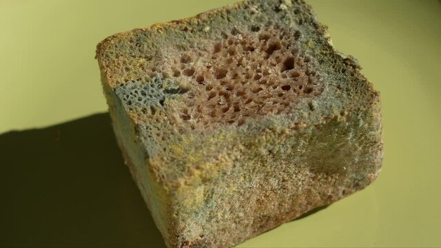 Colorful green, white, blue, yellow mold on surface of loaf of bread isolated on green plate background. 4k stock video footage of toxic spoiled food with fungus and bacterias. Spoiled food concept
