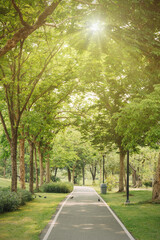 Scenic view of the park with sidewalk in morning