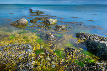 Algen und Steine an der Küste