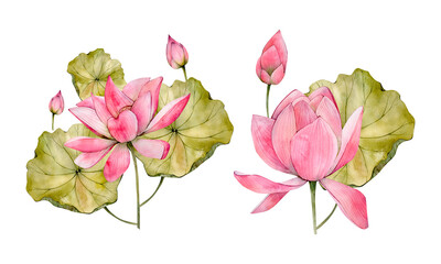 Pink Watercolor Hand Drawn Lotus Flower Illustrations. Watercolour Water Lily Flowers Leaf and Bud isolated on white background. Beauty Floral Clipart Compositions 