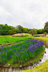岡山後楽園 ヒラドツツジとアヤメ(岡山県岡山市北区)