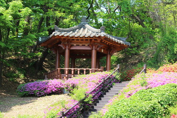 Obraz premium japanese garden