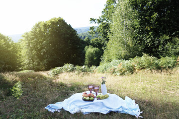 Summer picnic with croissants, fruits, chocolate and glass of wine in the forest. Cottage core aesthetic. Summer vibe.