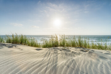 Sunny day at the dune beach