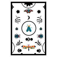 Poster with bright insects. A tropical postcard with the image of a fly, a dragonfly and natural elements. Illustration for decoration with insects. Vector illustration