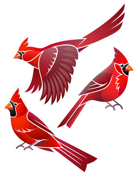 Stylized Birds - Northern Cardinal