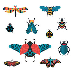 Bundle set with different insects. Illustration in vector of abstract bright beetles, flies, dragonflies, wasps, moths, butterflies. Species of flying and soaring, crawling animals. Vector