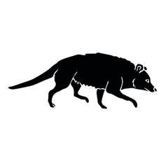 Vector hand drawn doodle sketch black opossum isolated on white background
