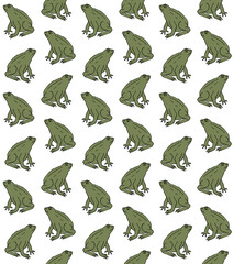 Obraz na płótnie Canvas Vector seamless pattern of hand drawn doodle sketch colored frog isolated on white background