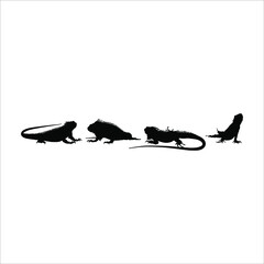 Silhouette of Iguana Reptiles (a genus of herbivorous lizards that are native to tropical areas of Mexico, Central America, South America, and the Caribbean). Vector Illustration 
