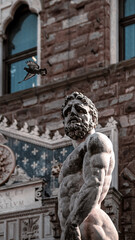 Obraz premium A sculture and a dove in piazza della signoria forward the Palazzo Vecchio in Florence, Tuscany, Italy.