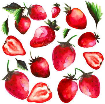 set of strawberry fruits with green leaves akarelna illustration