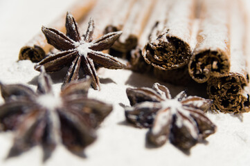 Dry cinnamon and star anise covered in icing sugar as snow