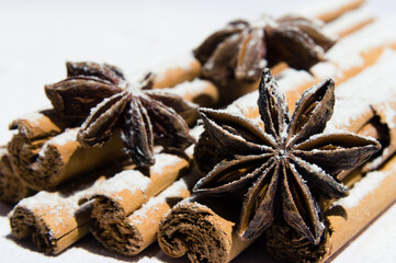 Dry cinnamon and star anise covered in icing sugar as snow