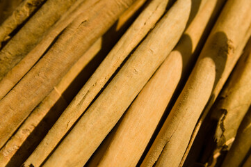 Closeup of several pieces of dry rolled cinnamon