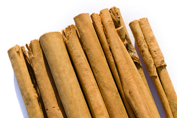 Rolled dry cinnamon isolated on a white background