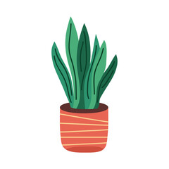 orange houseplant pot