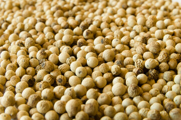 Closeup of whole white peppercorns on a heap