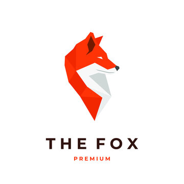 Geometric orange fox illustration logo