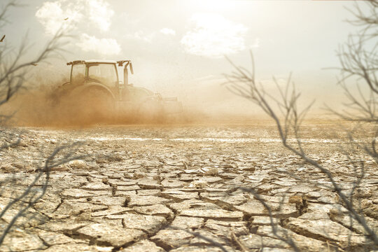 Traktor pflügt ein Feld bei Trockenheit