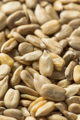 Raw Dry Organic Sunflower Seed Kernels