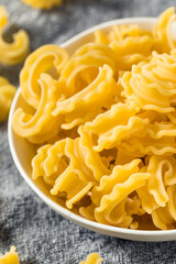 Dry Organic Cascatelli Pasta