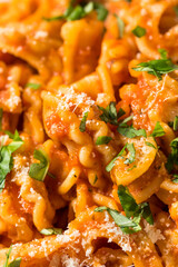 Homemade Italian Cascatelli Pasta with Tomato Sauce
