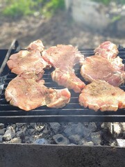 meat on the grill