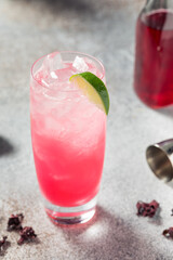 Boozy Cold Gin Hibiscus Highball Cocktail
