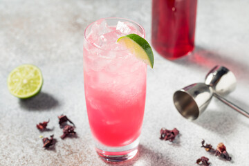 Boozy Cold Gin Hibiscus Highball Cocktail