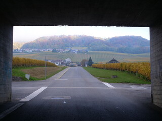 The nice landscape of Mont-sur-Rolle.