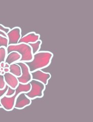 pink background with pink flowers