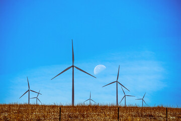 Windmills turbines scattered  over the tall grass prairie in evening with huge full moon in sky - Powered by Adobe