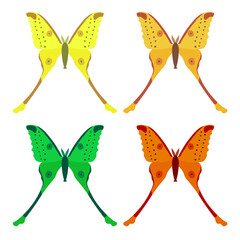 Vector collection, colorful butterfly insects. Decorative design. Isometric, flat style.