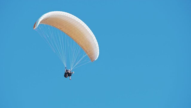 Parachutist jumps with instructor. Paragliders, fearless skydivers tandem flying against clear blue sky. Extreme parachute sport, lifestyle, hobby, adventure. Skydiving, summer activity