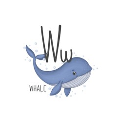 Alphabet blue cute whale next to the letter W