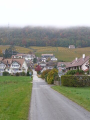 The small village of Vinzel in Vaud district near the Leman Lake in Switzerland.