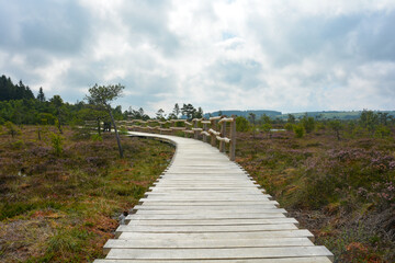 Fototapeta na wymiar Wooden footbridge in the bog
