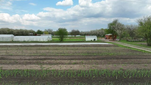 Bio farm farming agricultural garden farmer fruit tree drone aerial leaf lettuce green Lactuca sativa bio farmer farming greenhouse folio and agricultural farm garden fruit harvest leaf Europe