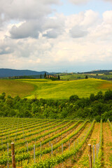 Chianti, vigneti e cipressi. Panorami delle colline Toscane. Italia