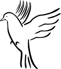 a dove drawn in a line art style and in vector shape