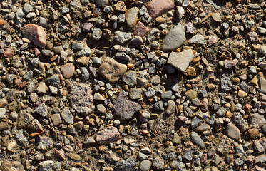 Background from natural stone gravel.