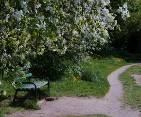 bench in the park