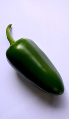 One jalapeno on white background isolated.